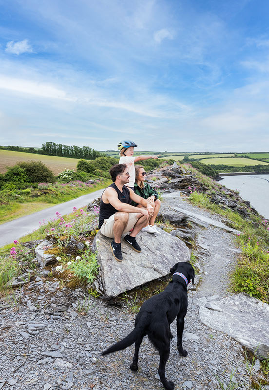 Cycling from Wadebridge to Padstow on the Camel Trail